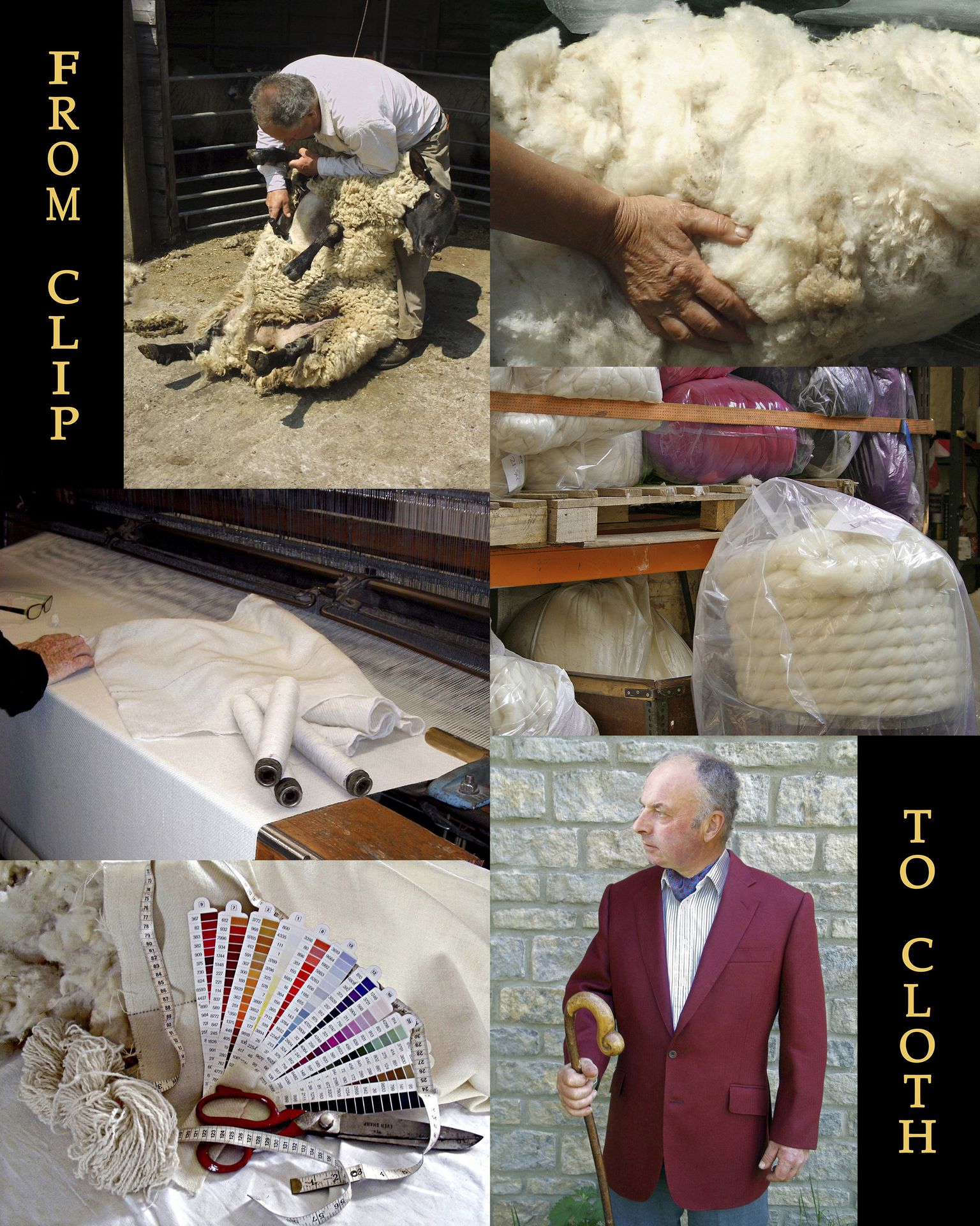 From Clip to Cloth progression photo collage